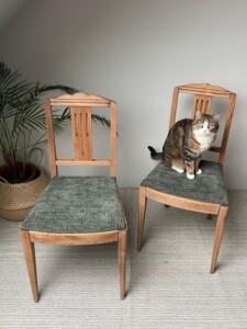 Chaises validées par Nout