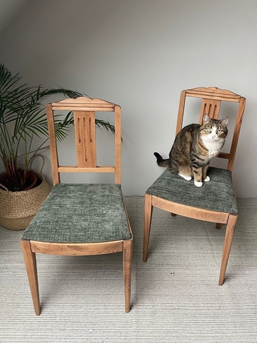 Chaises validées par Nout